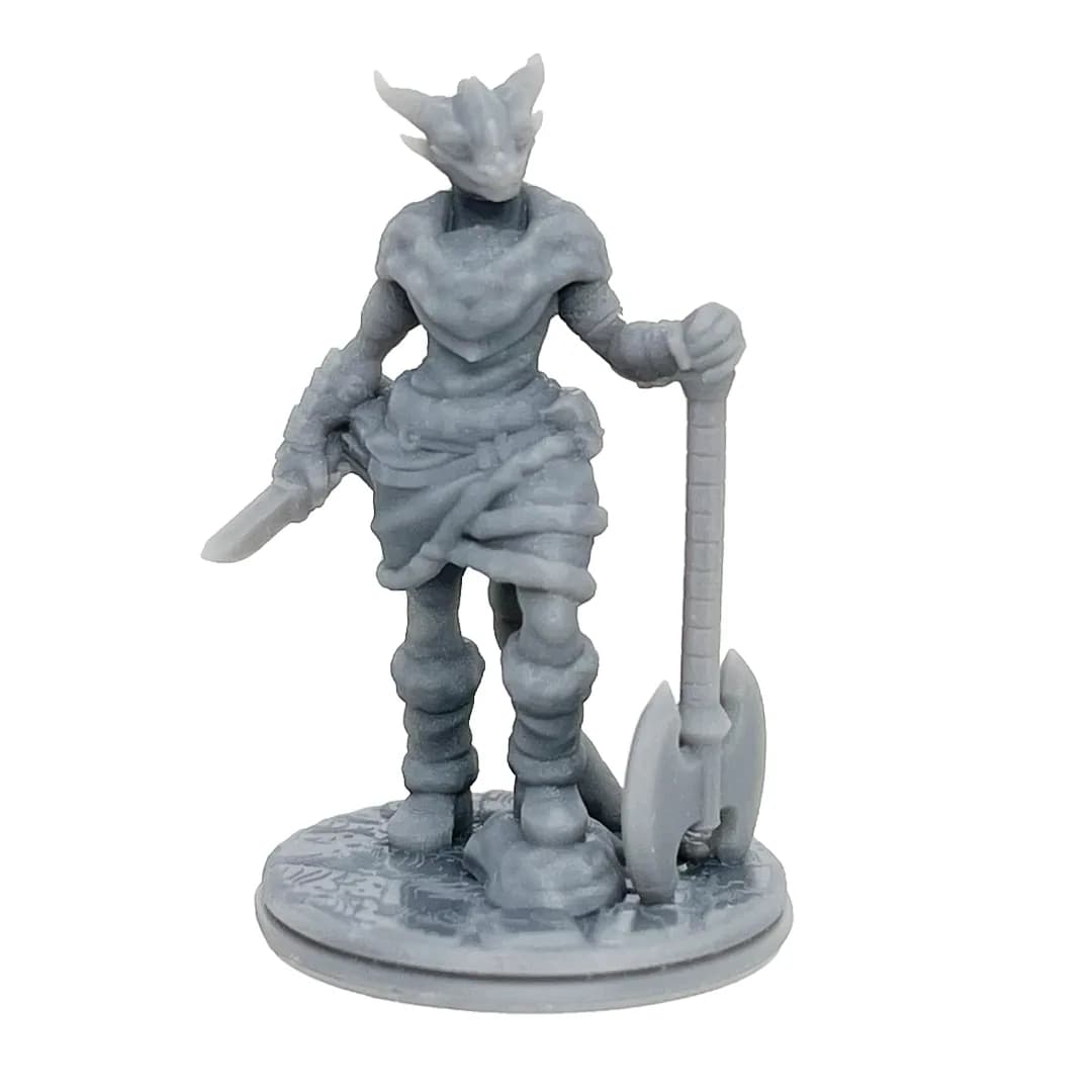 Imagen de #312 A - Dragonborn Barbara - 25mm