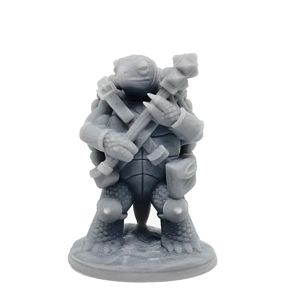#215 A - Turtlefolk 5