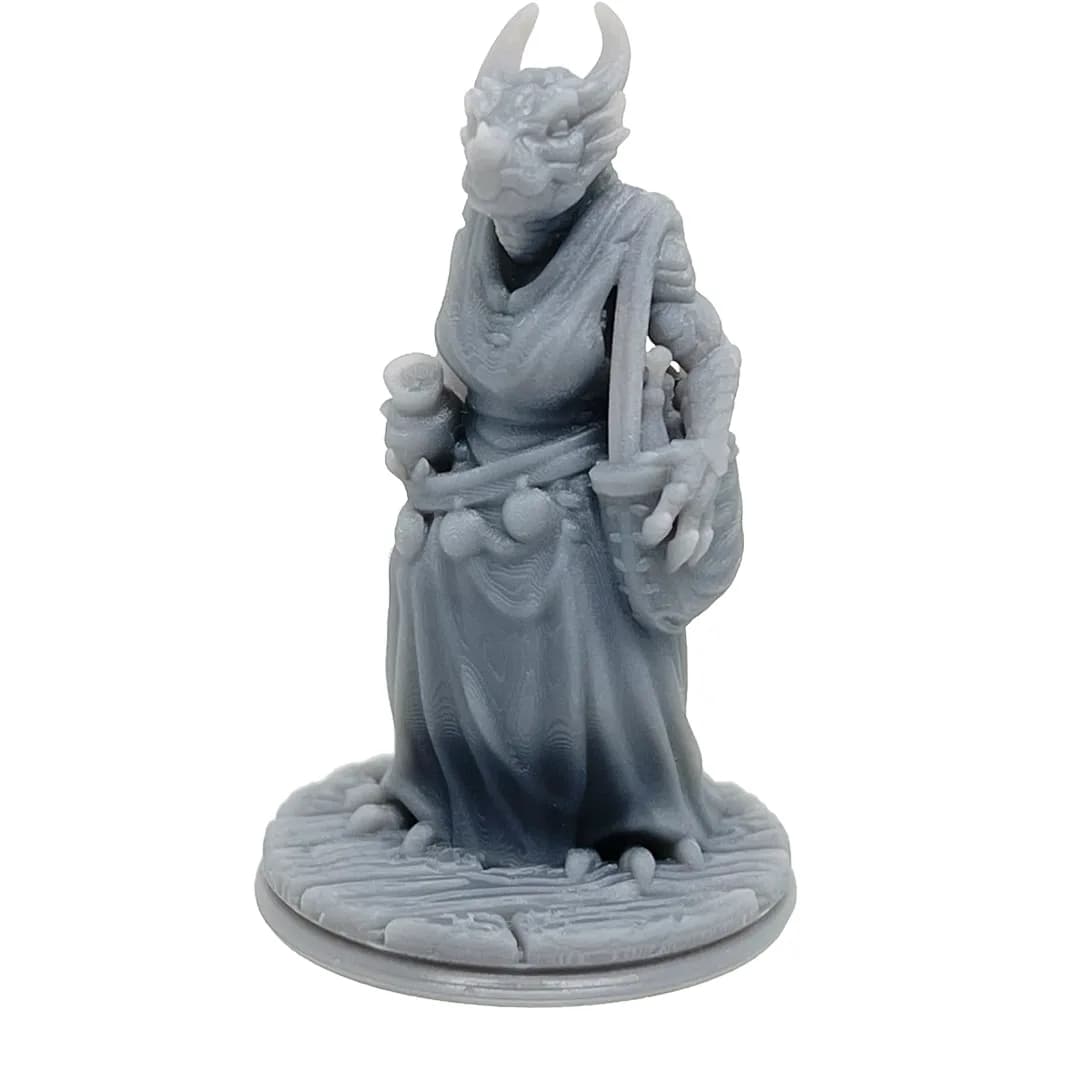Imagen de #653 A - Dragonborn Clienta - 25mm