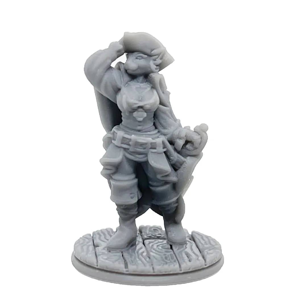 Imagen de #262 A - Tabaxi Pirata - 25mm